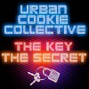 urban-cookie-collective-268706.jpg