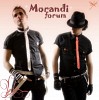 morandi-77147.jpg