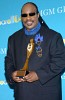 stevie-wonder-212734.jpg