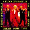 a-flock-of-seagulls-159231.jpg