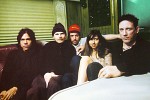 zwan-274118.jpg