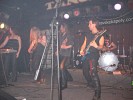 salamandra-101295.jpg