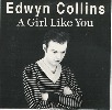 edwin-colins-276015.jpg