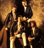 omd-156474.jpg