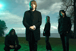 mew-403167.gif