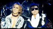 x-japan-248983.jpg