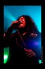 testament-24405.jpg