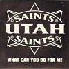 utah-saints-317881.jpg