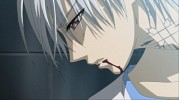 vampire-knight-42071.jpg