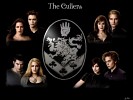 robert-pattinson-158159.jpg
