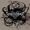 borknagar-246614.jpg