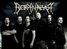 borknagar-246625.jpg