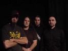 immolation-68064.jpg
