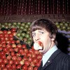 ringo-starr-84292.jpg