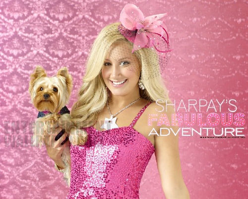 Soundtrack Sharpay's Fabulous Adventure Photo was added by dwdb