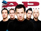 simple-plan-55315.jpg