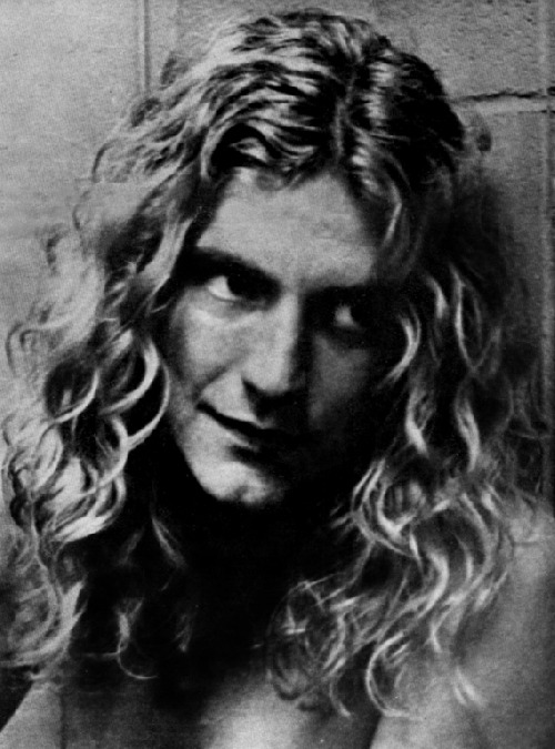 Robert Plant photo - Robert Plant