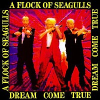 a flock of seagulls a flock of seagulls