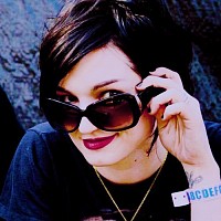 Mindless Self Indulgence Revenge Lyrics mindless self indulgence revenge lyrics