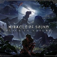 Miracle Of Sound - Another Day In Paradise Lyrics