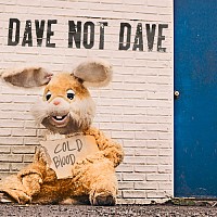 dave-not-dave-560410-w200.jpg